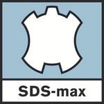 SDS MAX
