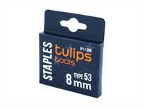 Скобы для степлера тип 53 8 мм Tulips